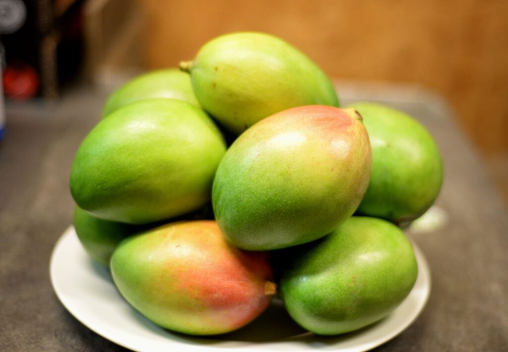 A plate of fresh green mangoes