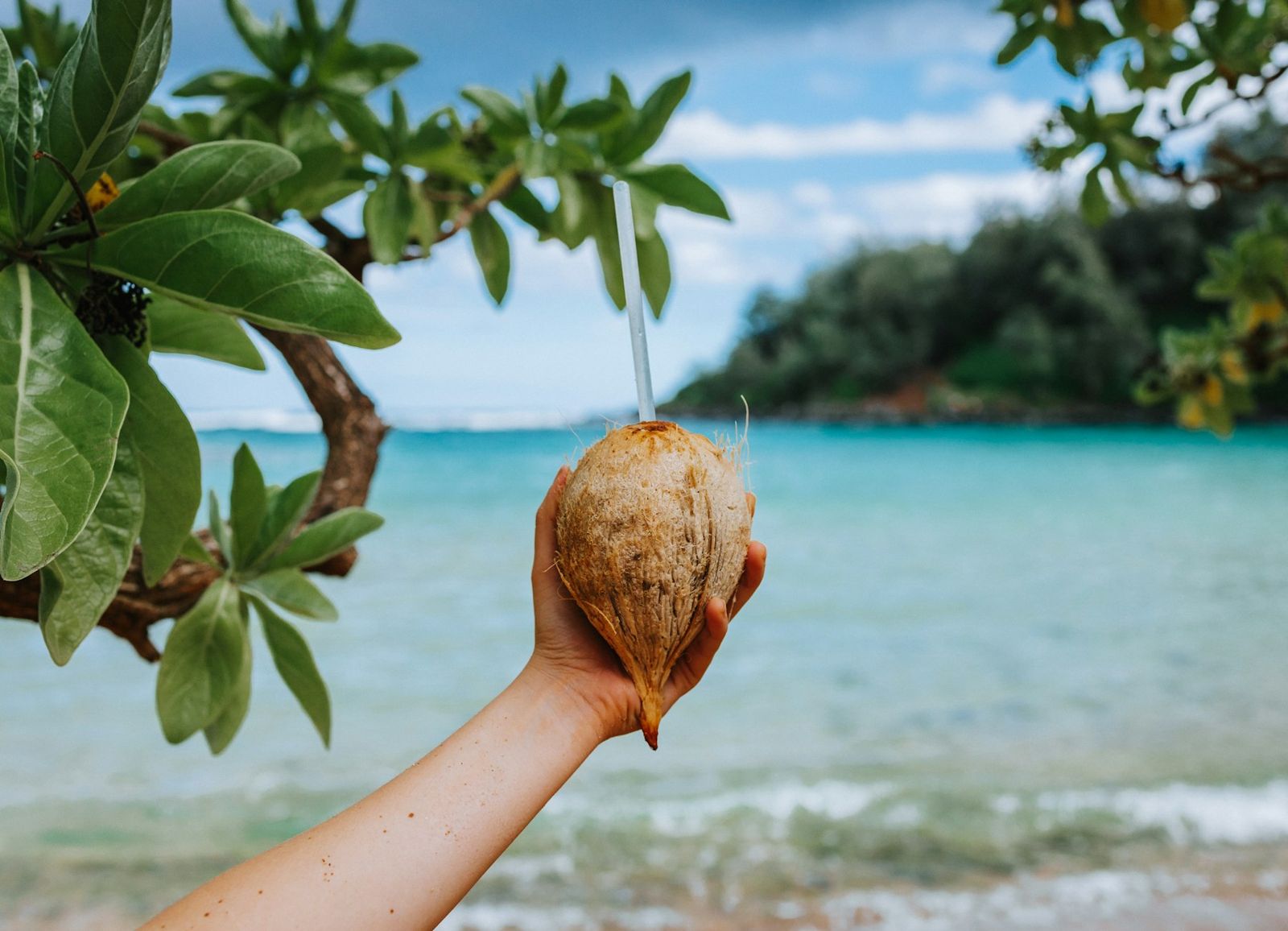 Fresh coconut held up against a turquoise tropical sea