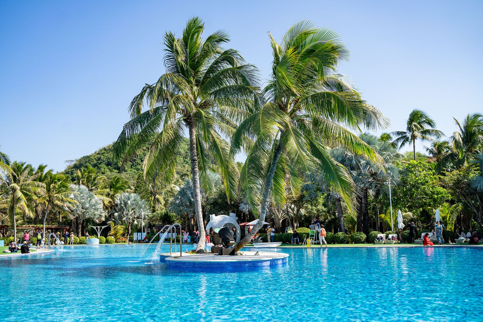 A resort swimming pool framed by palm trees