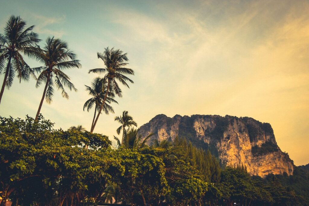 Limestone cliffs and palm trees in Krabi at sunset
