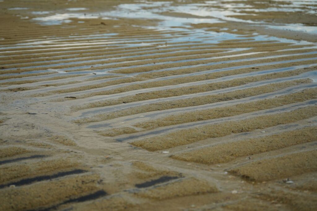Ripples in the sand left by a very low tide
