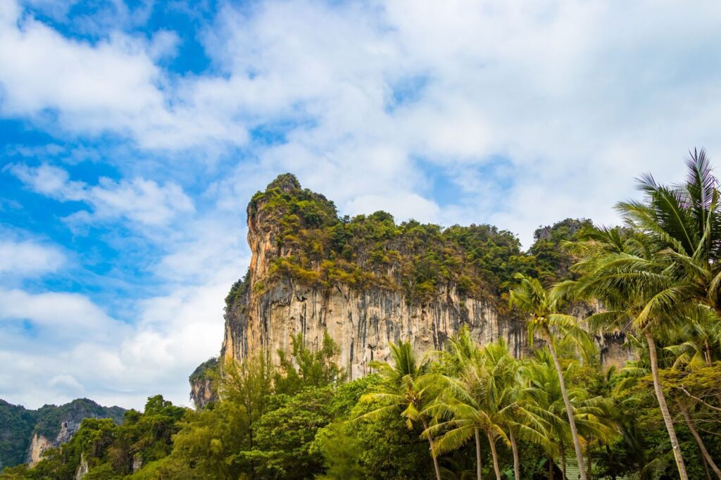 Limestone cliffs and palm trees in Krabi